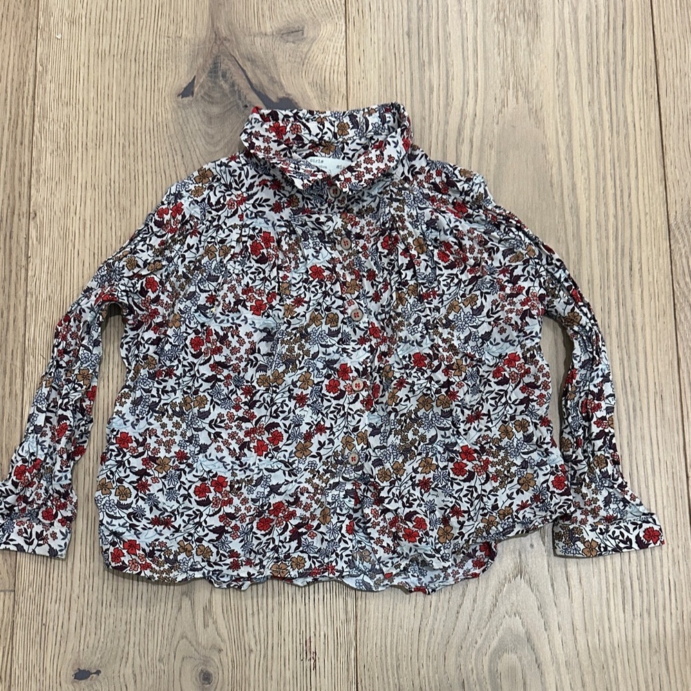 Zara Floral Long Sleeve Kids Top 3 girls